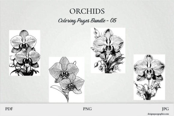 Download Orchid Coloring Pages Printable Set 5 - Printable Collection